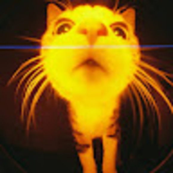 flimflamzfoxx